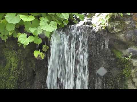 My trips: Romania, Ciungetu, Valea Latoritei, Lacul Petrimanu, Valcea, unedited 2015