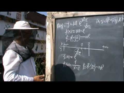 2. Bazele Matematicii: Lectia 40 -  Analiza matematica pe intelesul tuturor 2/8