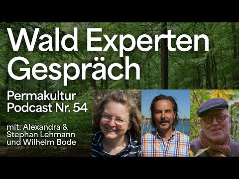 Wetter & Wasserkreislauf, durch unsere Waldböden schließen / Permakultur-Podcast Nr. 54