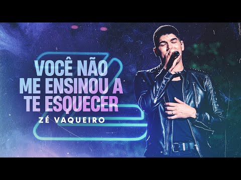 Zé Vaqueiro - VOCÊ NÃO ME ENSINOU A TE ESQUECER ZÉ VAQUEIRO (Video Oficial)