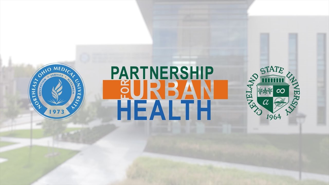 The Center for Innovation in Medical Professions