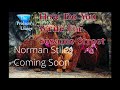 The Battles Behind Sesame Street Bonus Clip Norman Stiles Producers Lounge