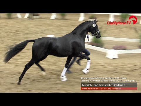 Hengst v. Feinrich - San Romantiko - Carlando I