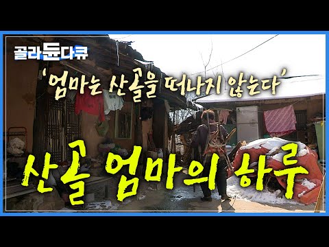 새막골 영상
