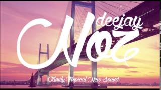 DJ Noz - Try (Colbie Calliat) [Cover by Danielle Bradbery] Tropical House VS Zouk Remix