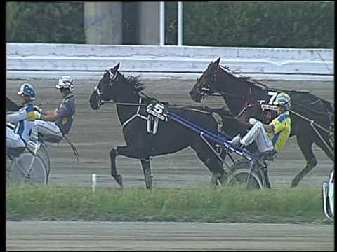 Trotto 29/05/2016 - 7° corsa