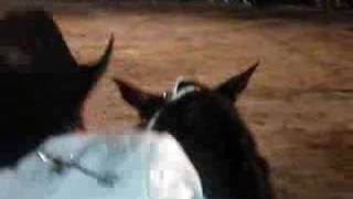 joan sebastian-afortunado