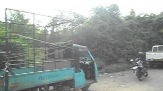 Cosmos Springs Angle