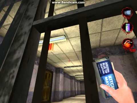 postal 2 critical error postal 2 critical error