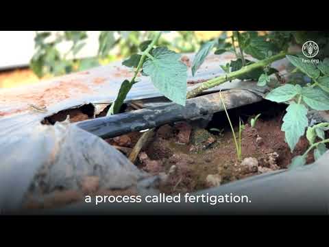 Less Water, Higher Yield – Micro Irrigation
