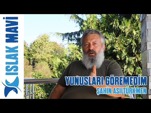 youtube-video-thumbnail