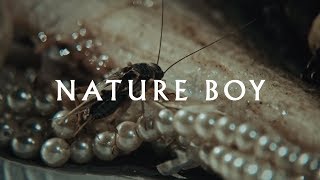 Nature Boy Music Video
