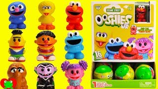 Genie Opens Sesame Street Ooshies Elmo Cookie Mons