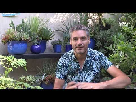 download lagu mp3 mp4 Couleur Du Monde Privas, download lagu Couleur Du Monde Privas gratis, unduh video klip Couleur Du Monde Privas