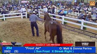 Triangle Horse Sales, Oklahoma City, OK Day 2  05 06 23