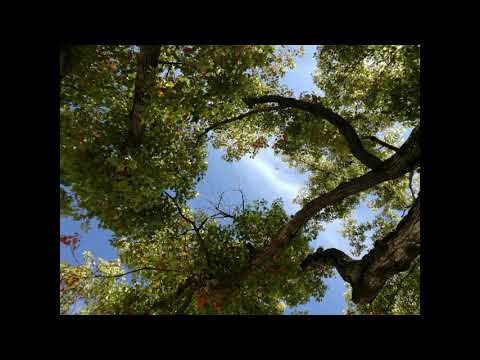 空の青さアカペラカバー