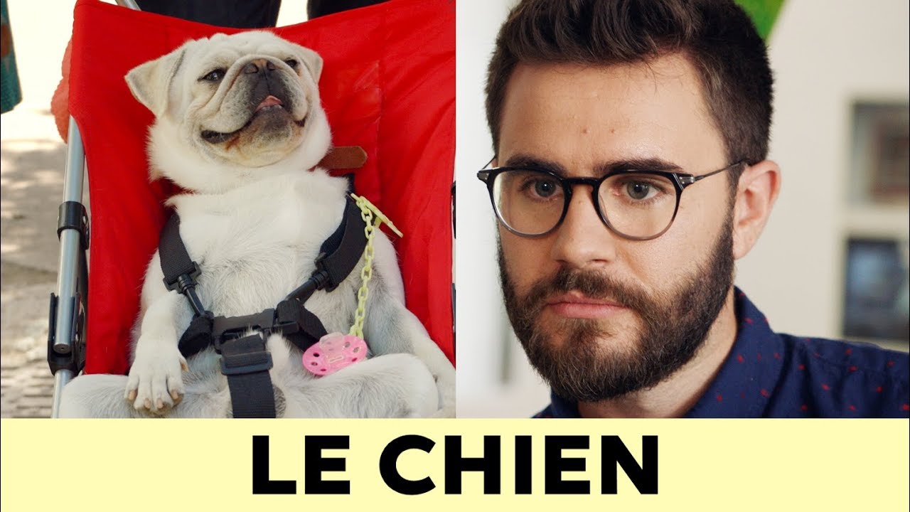 PRESQUE ADULTES EP2 - LE CHIEN thumbnail