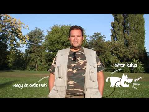 meghatározza az erekció mértékét merevedési zavar, hogyan kell kezelni