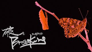 Cover art for Breaking