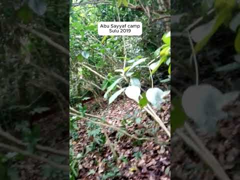 Enemy camp captured by 41st Infantry Battalion. Sulu 2019.