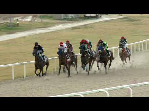 2022.08.21. 02. futam - NYERETLENEK VERSENYE (V.kat.) (szintetikus pálya)