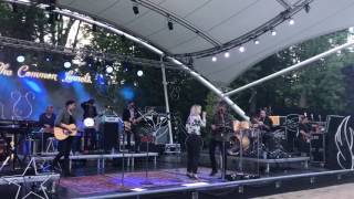 The common linnets, days of endless time