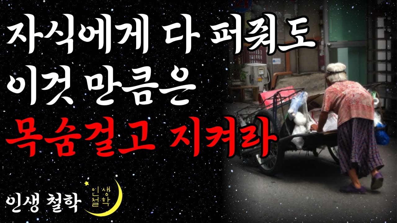 이것을 못 숨겨서 자식에게 탈탈 털린 어느 80대 할머니 사연 l 자식에게 사기 안 당하는 법 l 노후에 혼자서도 행복하게 지내는 법 l 오디오북 l 지혜 l 철학