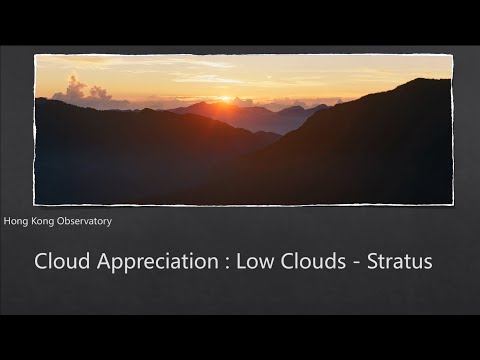 Cloud Appreciation: Low Cloud - Stratus