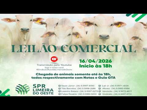 LEILÃO COMERCIAL DO SINDICATO DOS PRODUTORES RURAIS DE LIMEIRA DO OESTE/MG