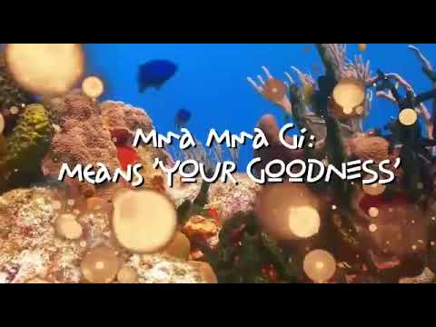 Slim Brown x Harry B - Nma Nma Gi ( audio/lyrics )