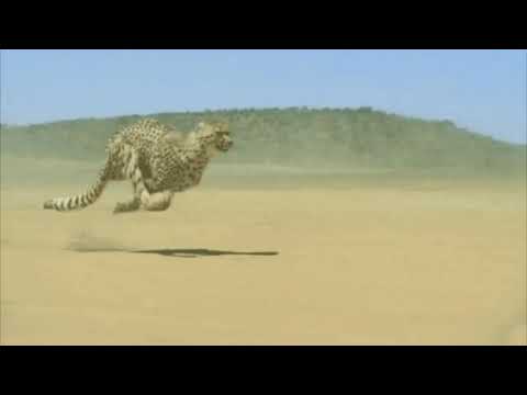 Relakztek Vs Modern Freedom - Muscle museum (Muse remix OFFICIAL MUSIC VIDEO)