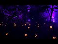 Carved Halloween Walkthrough At Descanso Gardens
