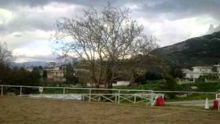 preview picture of video 'Reiterhof  Rio Equestrian Academy'