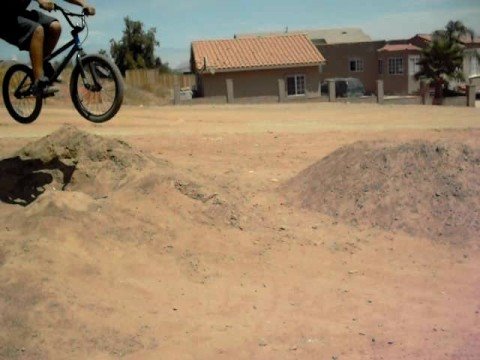 backflip tailwhip