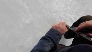 preview picture of video 'Ice Fishing NJ - Bullheads'
