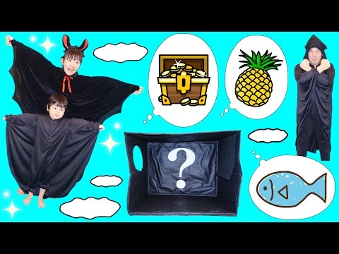 ★プリ姫怪盗団のお宝探し！「箱の中身は何？？手だけでお宝を見分けろ～！」★Black box game★