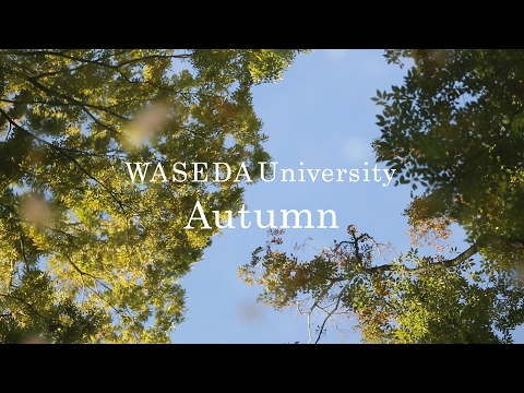 Seasons of WASEDA Autumn 早稲田の四季 秋編