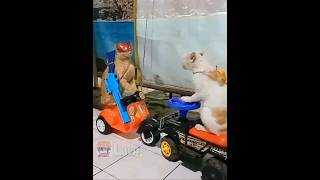 Download lagu MEME ABSURD BIKIN SEMANGAT🤣🤣 // #memes #humor #absurd #jokes #funny #ngakak #luvh2 #comedy #lucu mp3