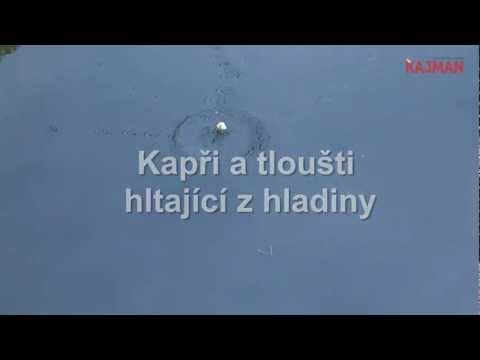 Kapři a tloušti hltající z hladiny