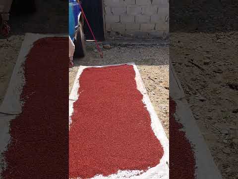 Así nos despedimos este 2025 #venezuela #Trujillo #Bolívar