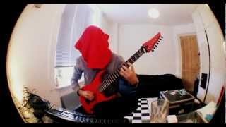 Spawn of Possession - Cabinet guitar cover by Lund (blindfolded)