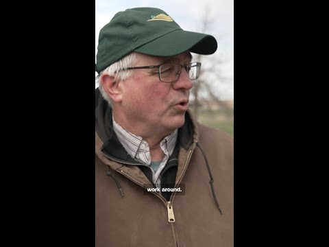 Iowa farmers hit hard by Iran war and tariffs