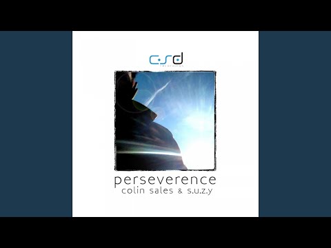 Perseverence (Perspex People Remix)