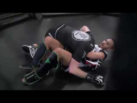 Fight Fusion Insight Nr. 1 - MMA / Kampfsport Regensburg
