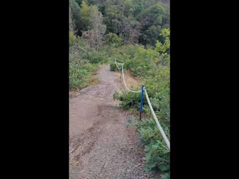 Hiking Diarys Tag 1 Rheinsteig 2023 #shorts #short #outdoor #rhein