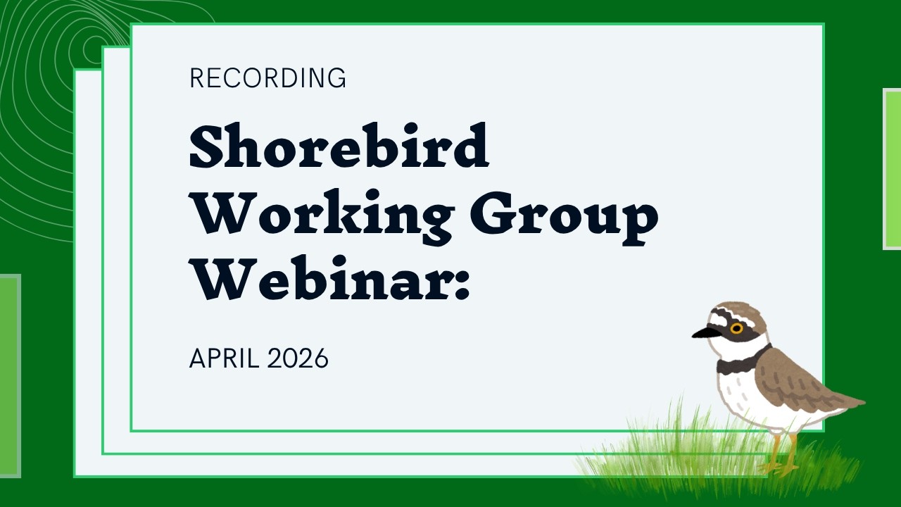 EAAFP Shorebird Working Group Webinar on Habitat Quality in the East Asian–Australasian Flyway