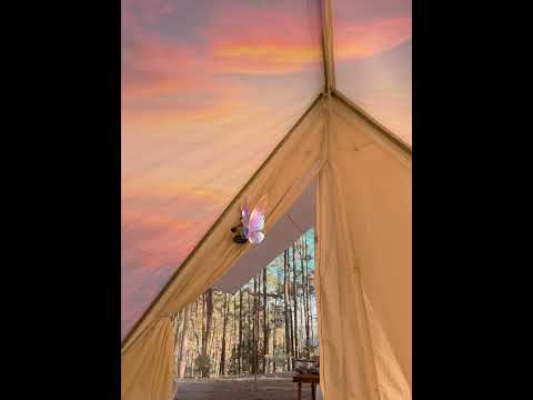 พิง - NONT TANONT | BOWKYLION