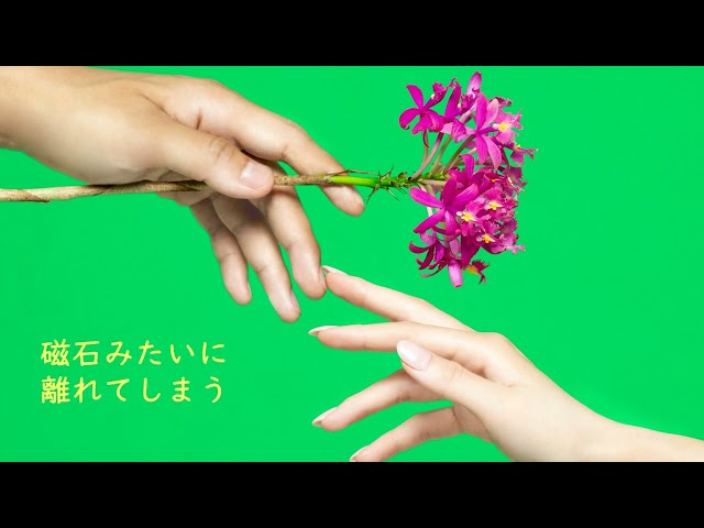 Miyuu、初のドラマタイアップ曲「magnet」がドラマ初回放送日の本日7月5日(水)より配信スタート!リリックビデオも公開! 3 YouTubeサムネイル