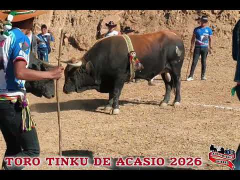 TORO TINKU DE ACASIO 2026     CHATO JR.   vs     TANE 