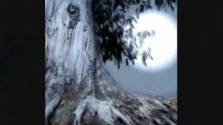 April 2010 Full Moon & There is nothing like Grandchildren